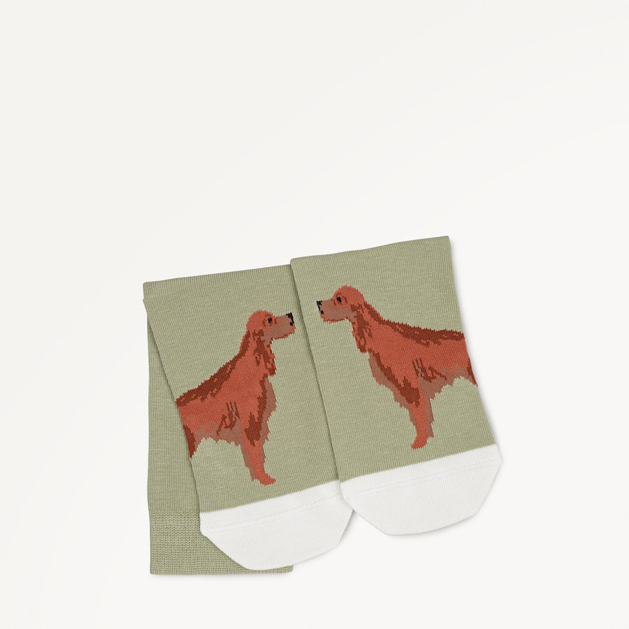 Radley & Friends Fabric 1 Pk Sock in Hosta - 112477