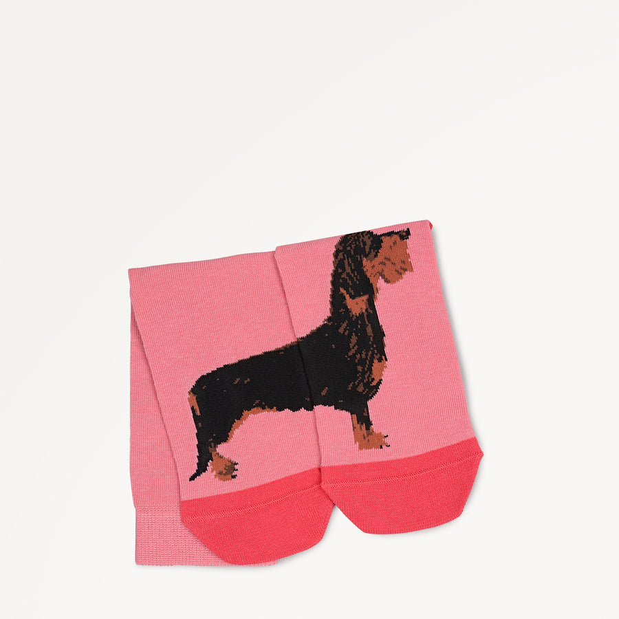 Radley & Friends Fabric 1 Pk Sock in Vintage Rose - 112482