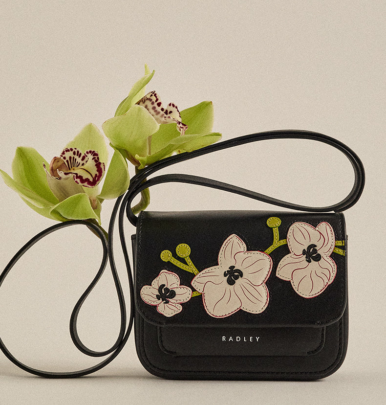 Radley's Collectibles Collection