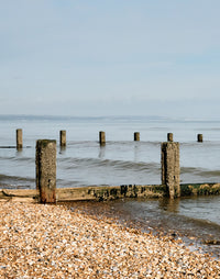 Background Image for Sustainability Page