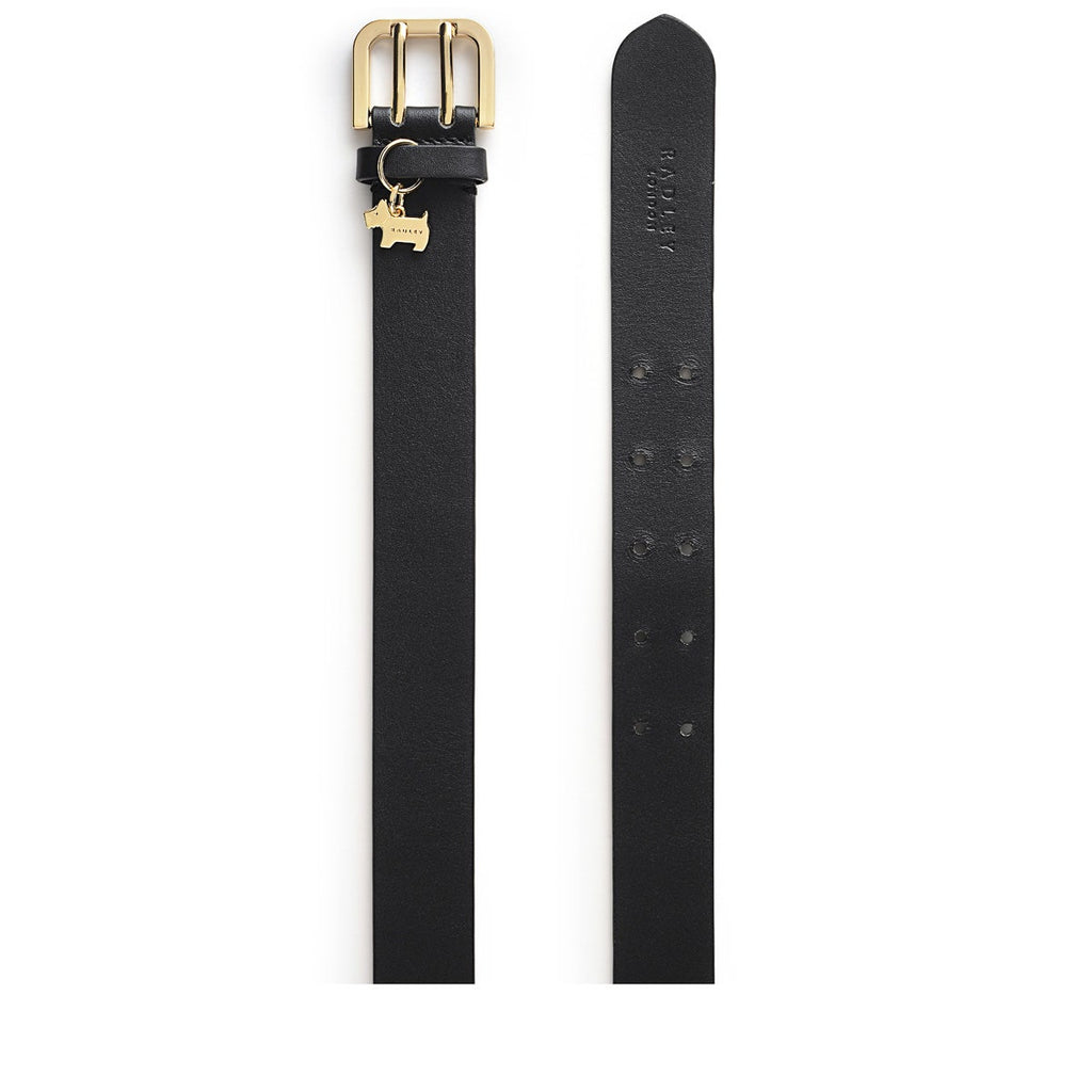 Curzon Street Classic Belt in Black - B8476001N
