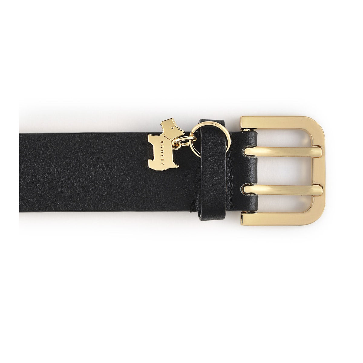 Curzon Street Classic Belt in Black - B8476001N