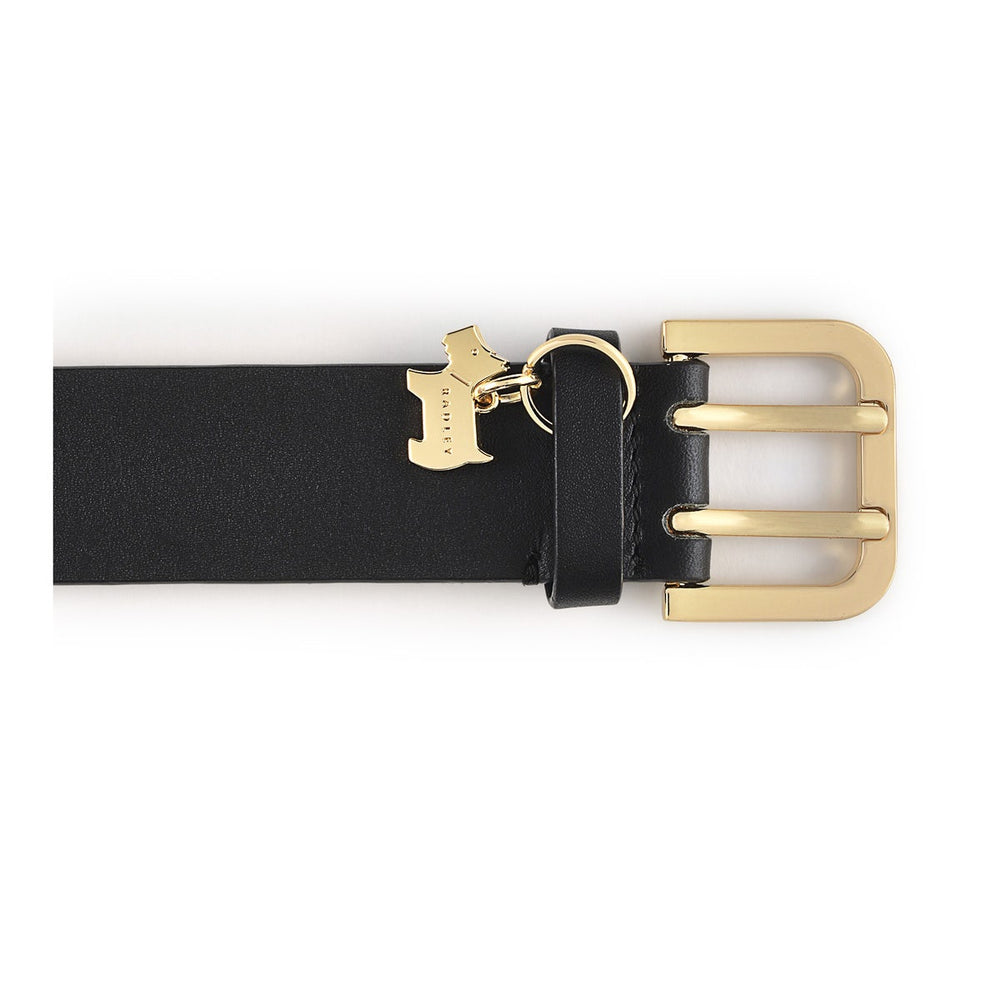 Curzon Street Classic Belt in Black - B8476001O