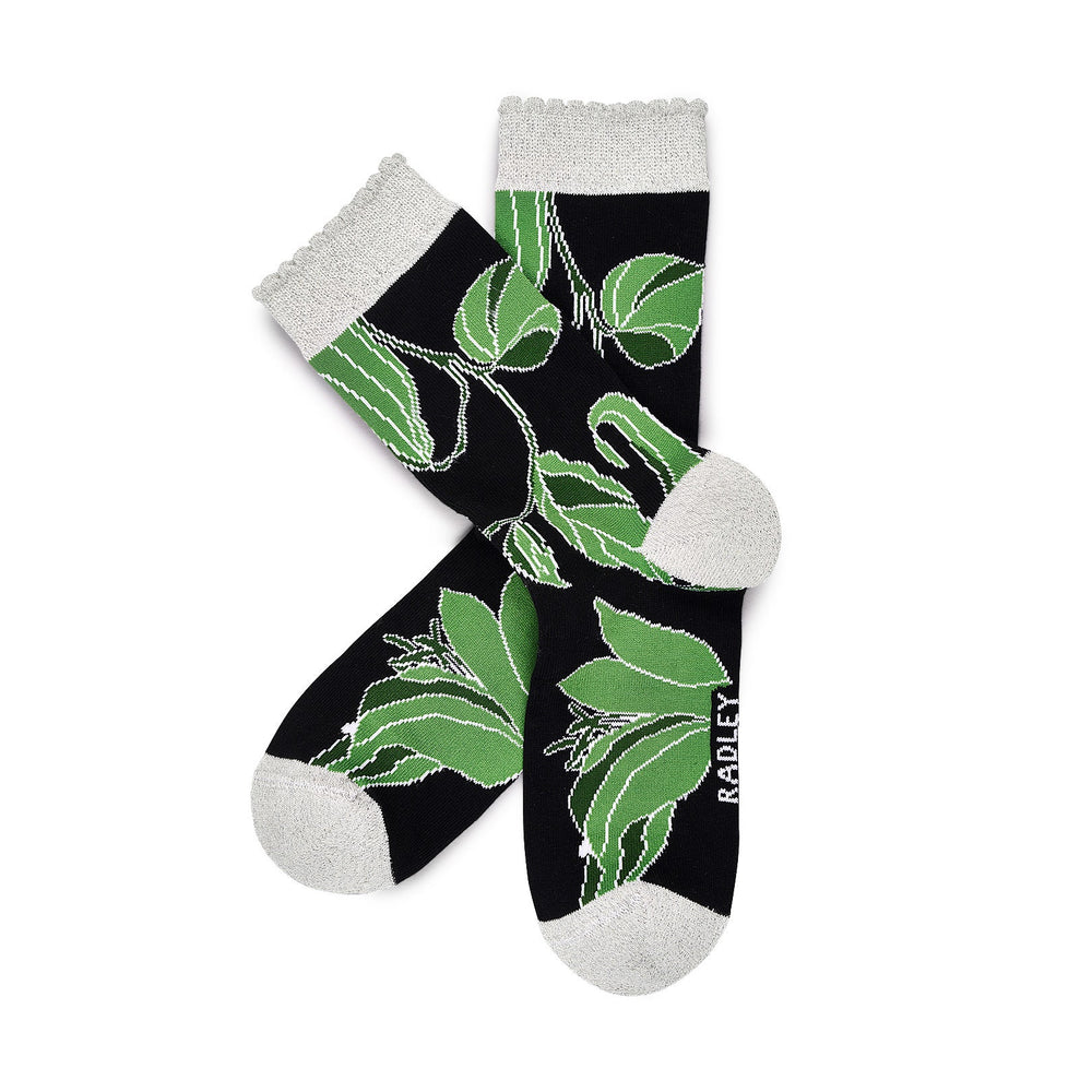Radley Floral Fabric Sock Set in Black - G2503001