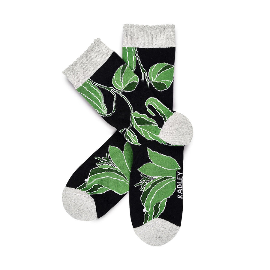 Radley Floral Fabric Sock Set in Black - G2503001
