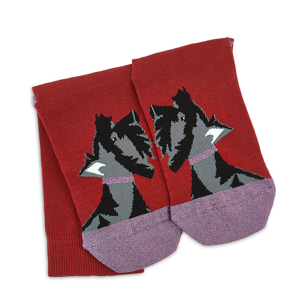 Festive Dogs 1Pk Dog Socks in Poinsettia - G8455628