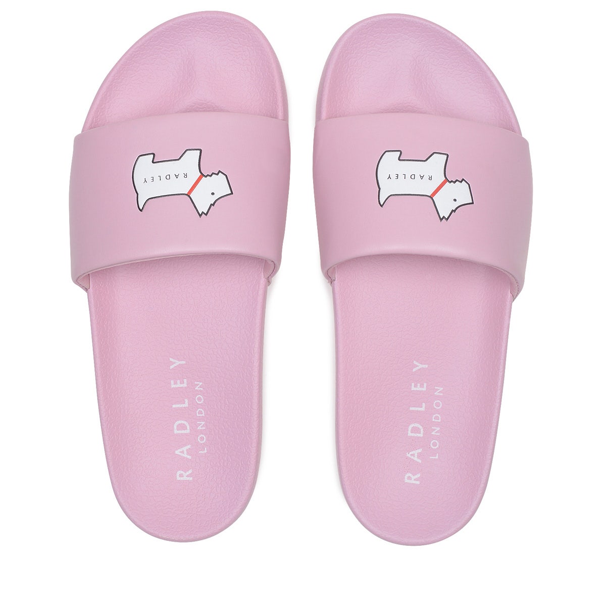RADLEY OUTLINE SLIDE RS PINK