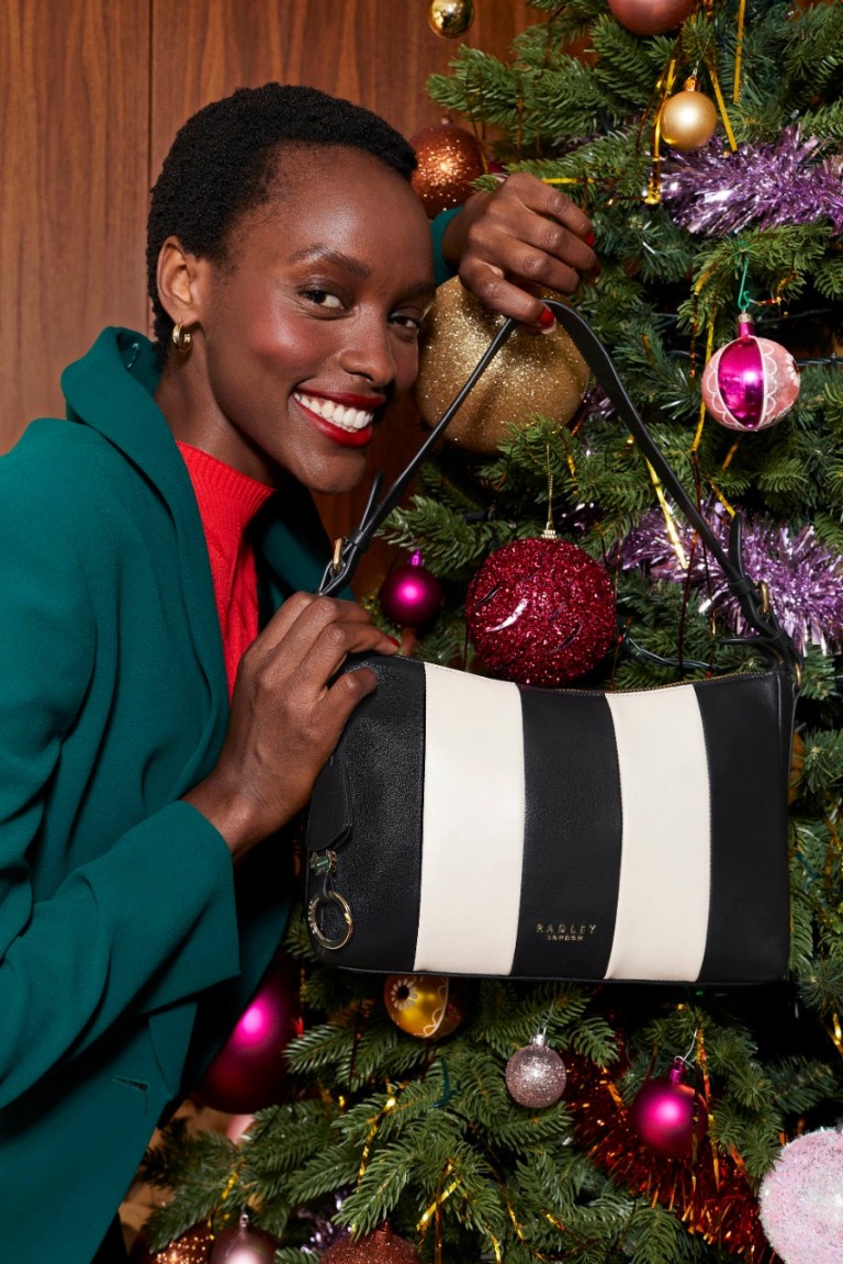 Radley discount christmas bag