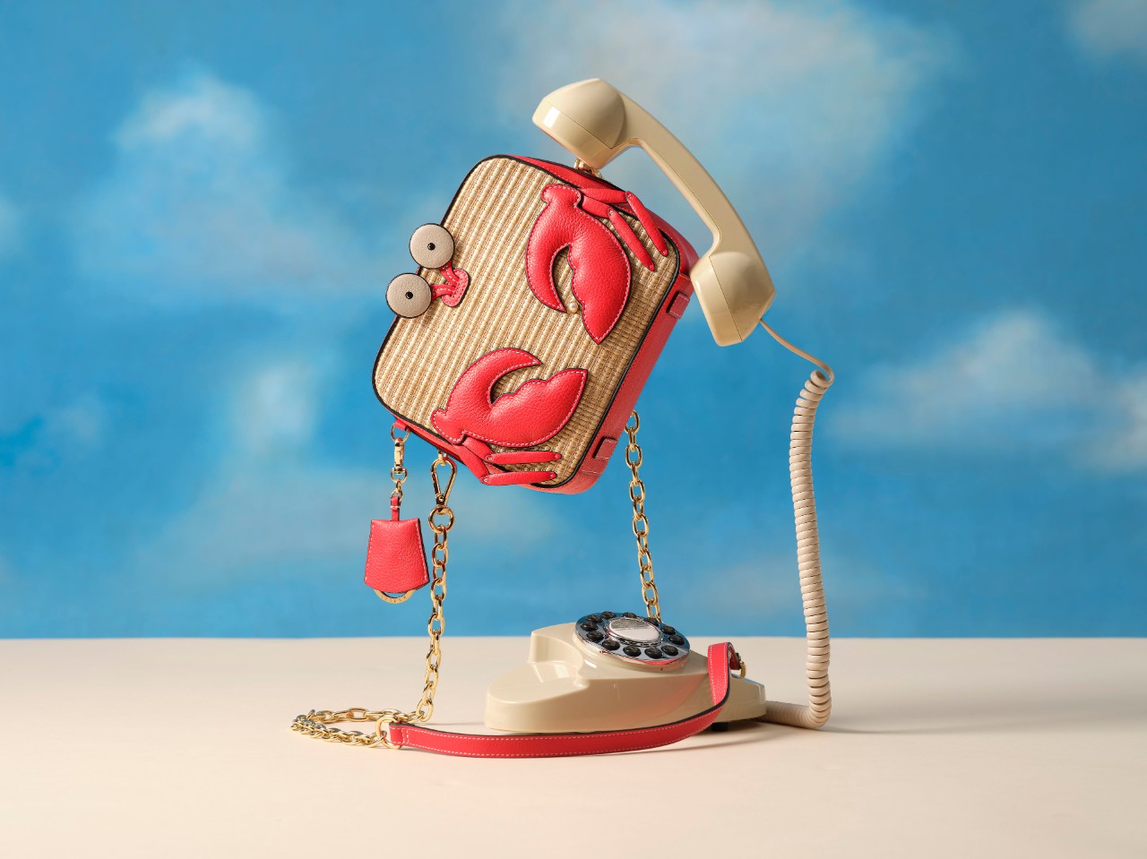 Radley cloud bag top