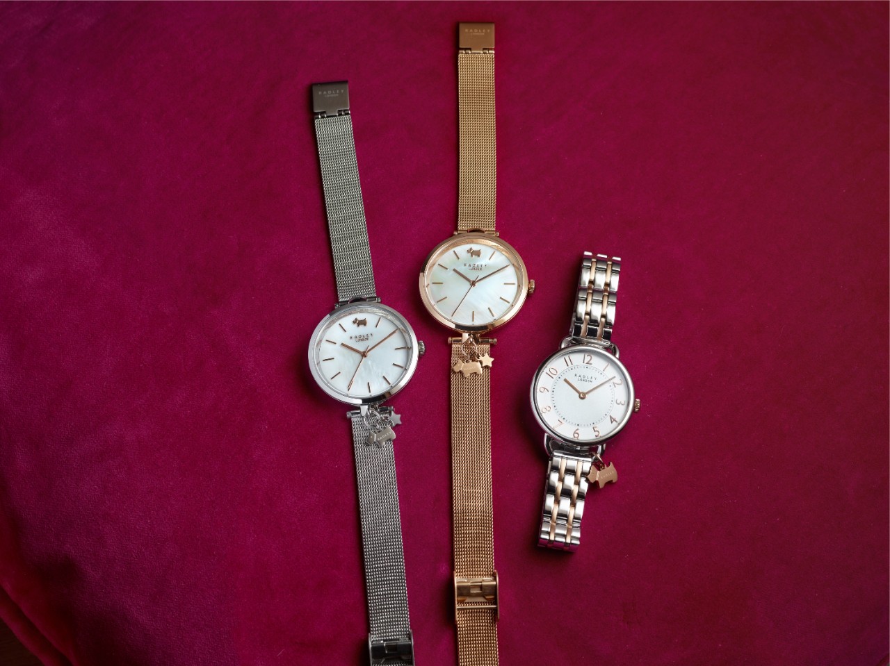 Radley london watch price hot sale