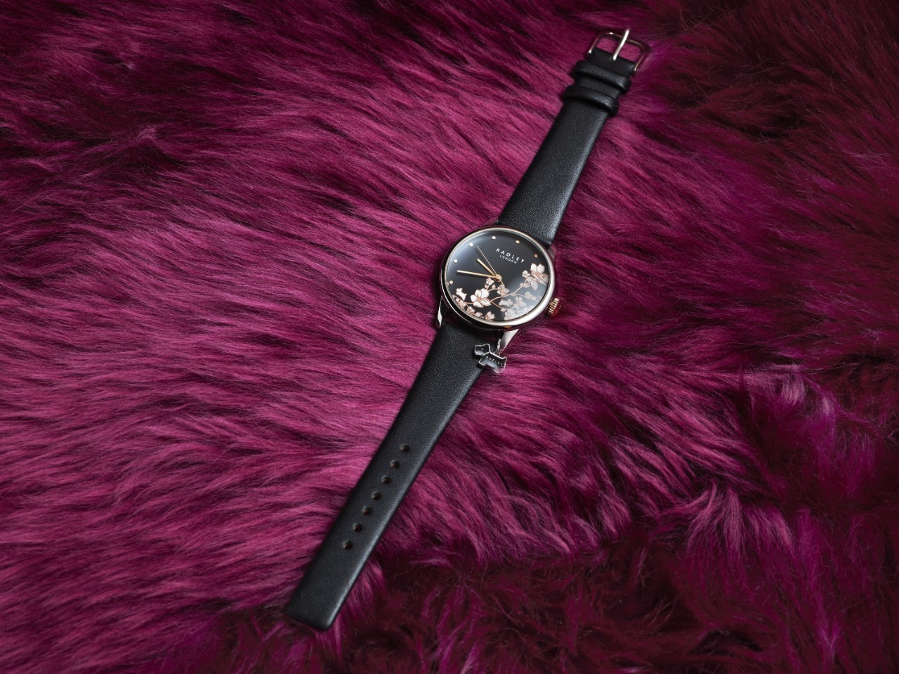 All About Watches Iconic Women s Watch Guide Radley London