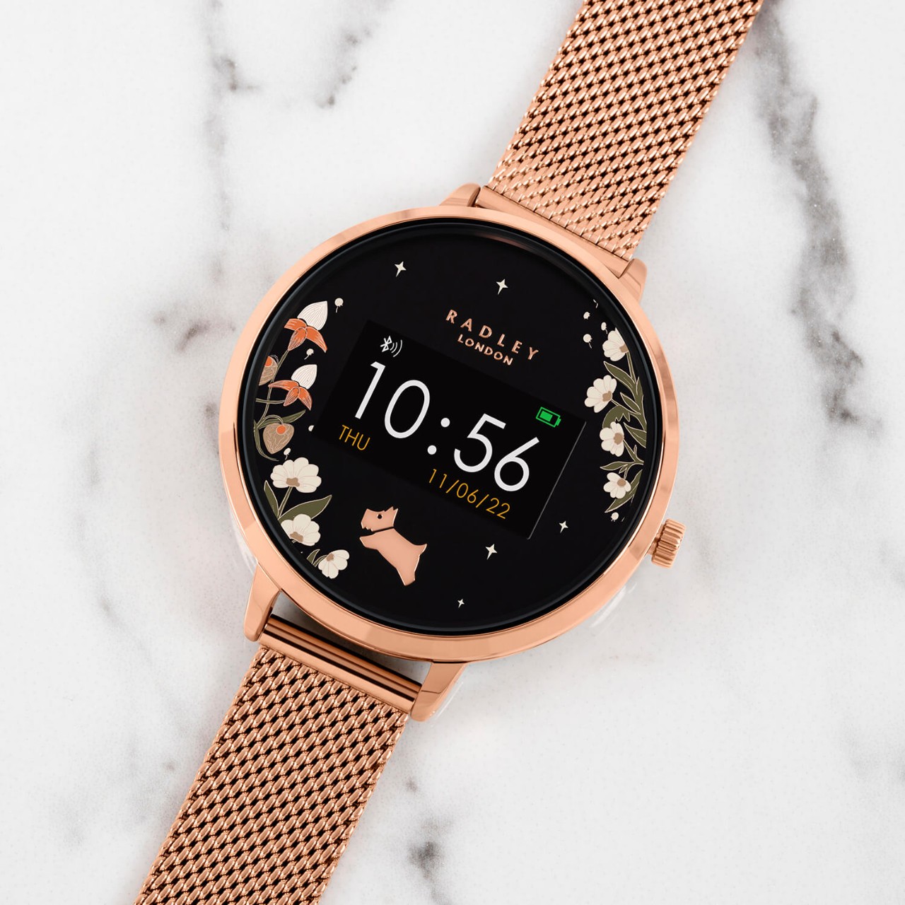 Series 06 Leather Smart Watch | Smart Watch Series 06 SS22 | Radley London