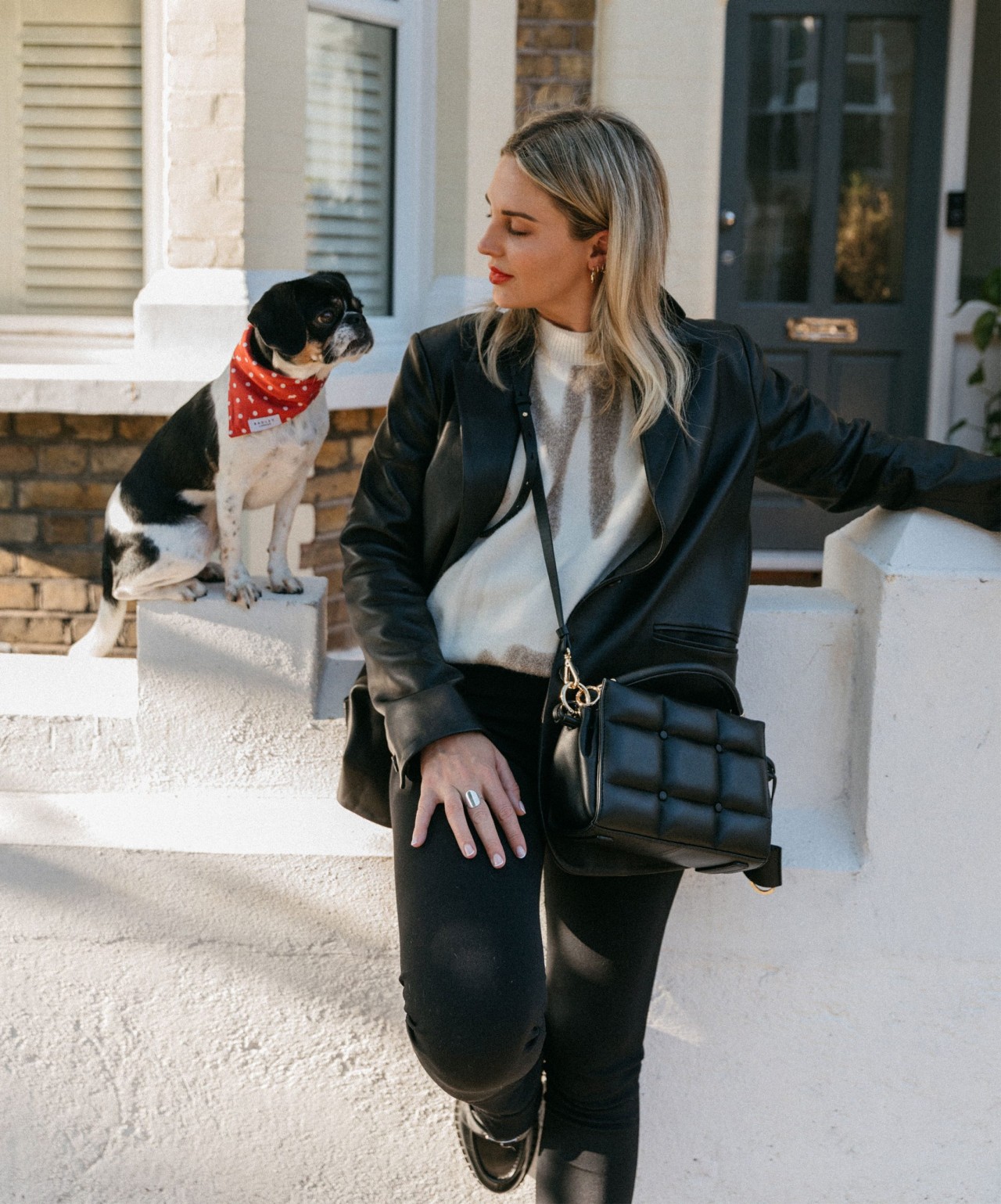 Emily Valentine Dog Accessories Radley London