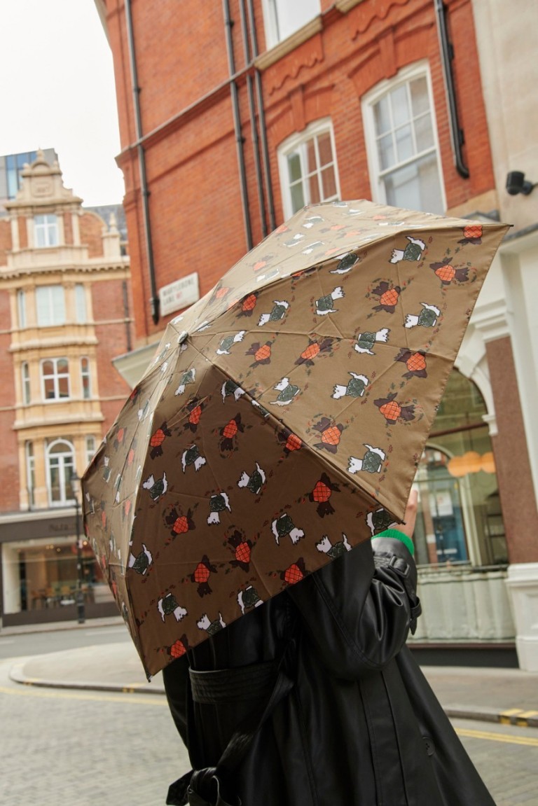 Radley umbrella and tote hotsell bag