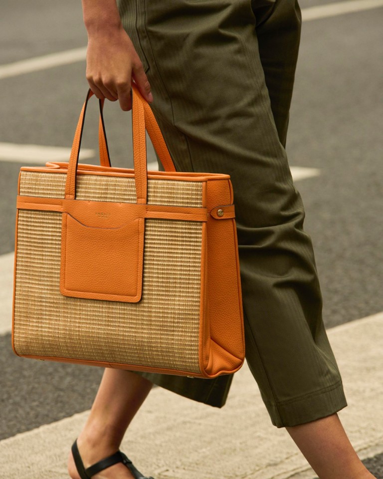 Radley datadog bag sale